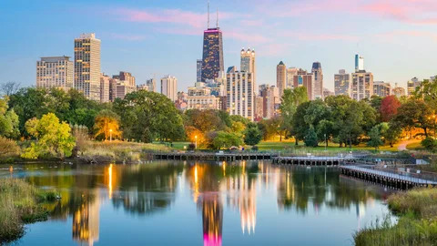 Illinois LLC Blog