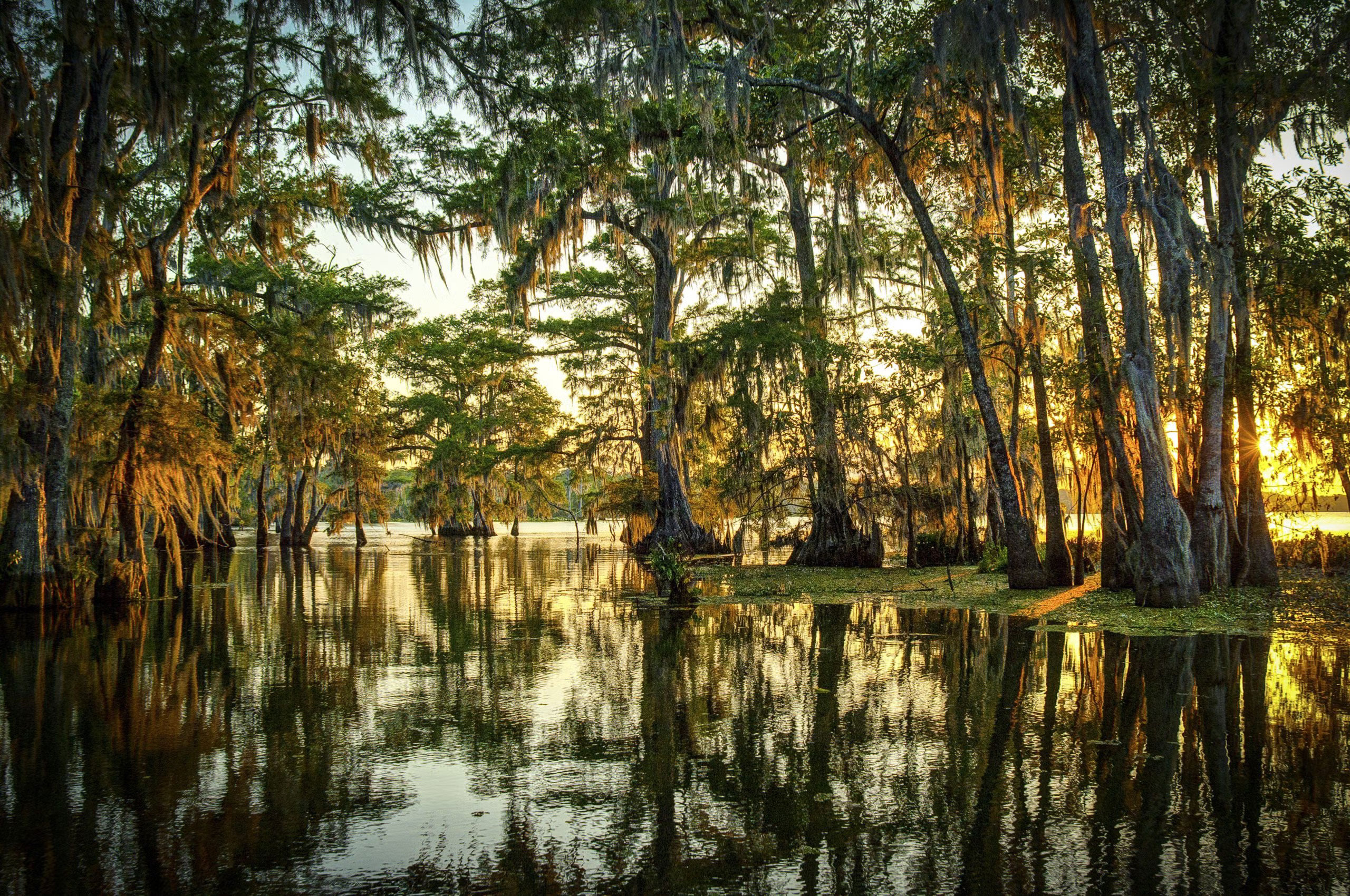 Louisiana LLC Blog