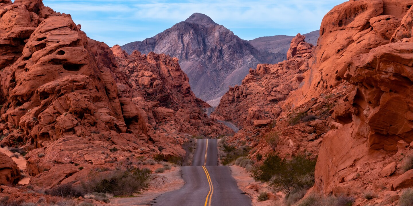 Nevada LLC Blog