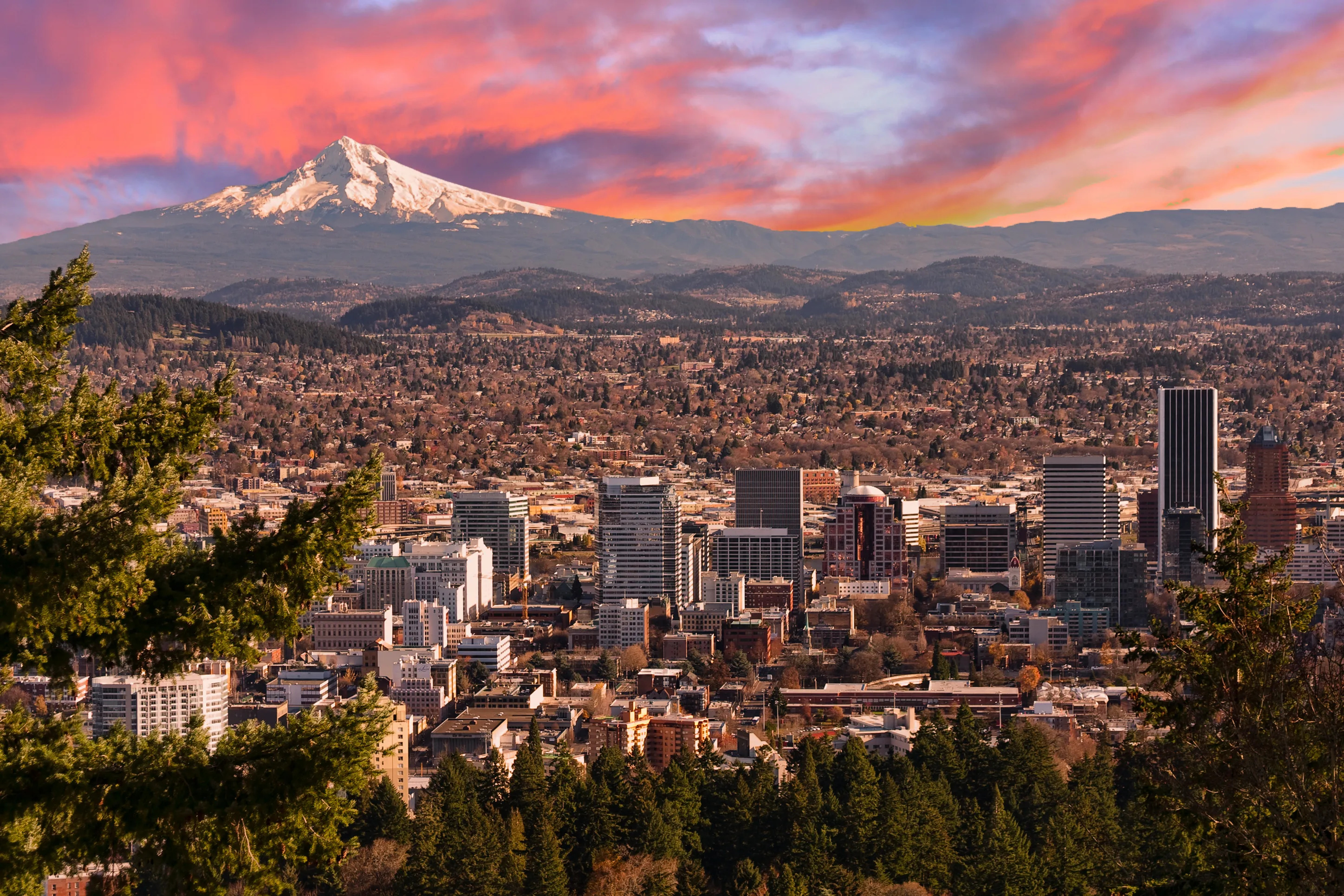 Oregon LLC Blog